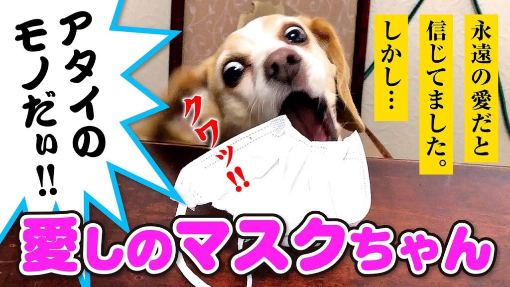 YouTubeのサムネイル