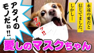 YouTubeのサムネイル
